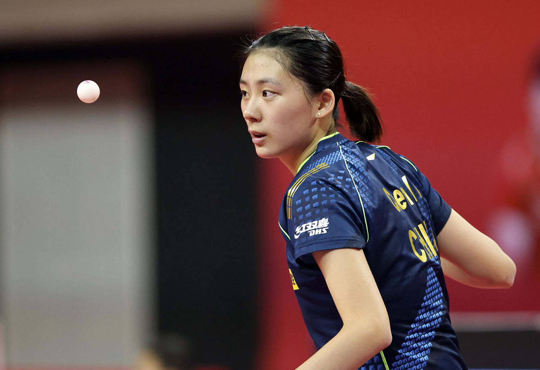 赛的热爱与 赛的热爱与